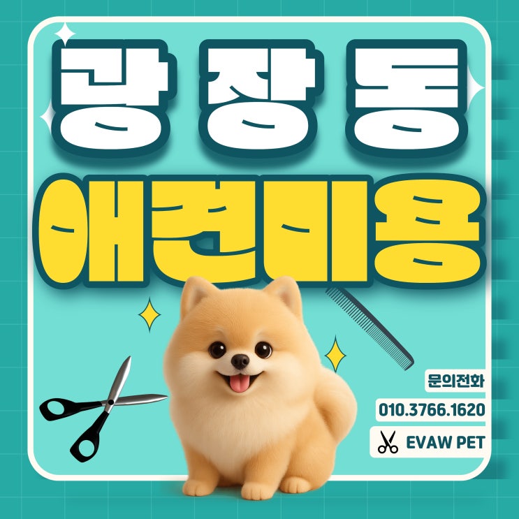  광장동애견미용학원 자격증 취득부터 취업과 창업까지 속성교육