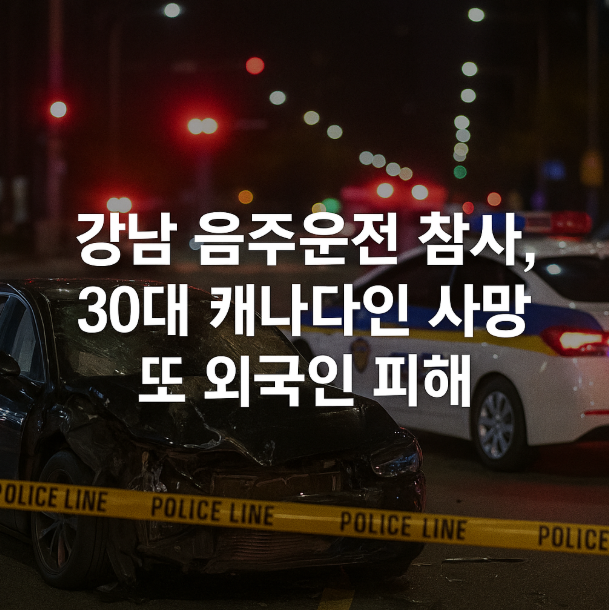 <b>강남 음주운전</b> 참사, 30대 <b>캐나다인 사망</b>, 또 외국인 피해