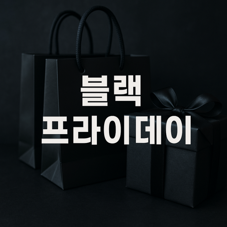 블랙프라이데이 2025년 직구 방법 총정리 아마존, 배대지, K-세일 페스타