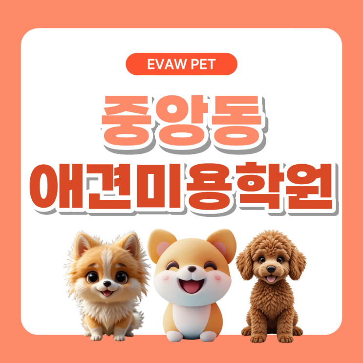  중앙동애견미용학원 야간반으로 실현하는 직장인 단기 자격증 취득