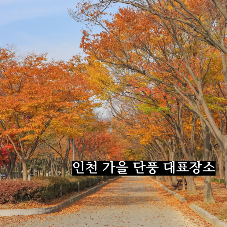  인천 단풍명소 인천대공원 가을풍경 주차 입장 정보