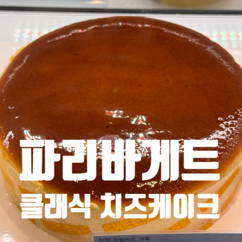 파리바게트 치즈케이크 가격 칼로리 유통기한 총정리