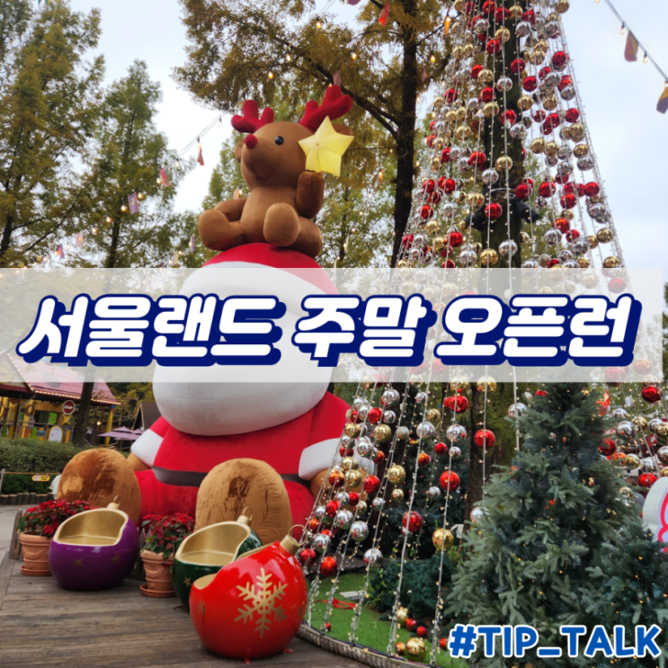  서울랜드 주말 오픈런 생생후기