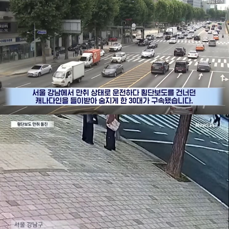 <b>강남</b> 논현동 만취 <b>음주운전</b> 차에 치인 30대 캐나다인 <b>사망</b>... 