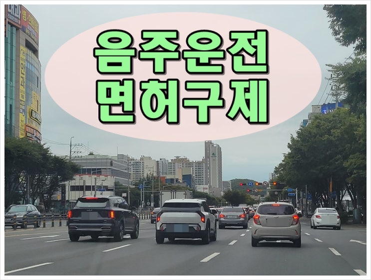  2004년 음주운전 결격기간 2년 사실입니다