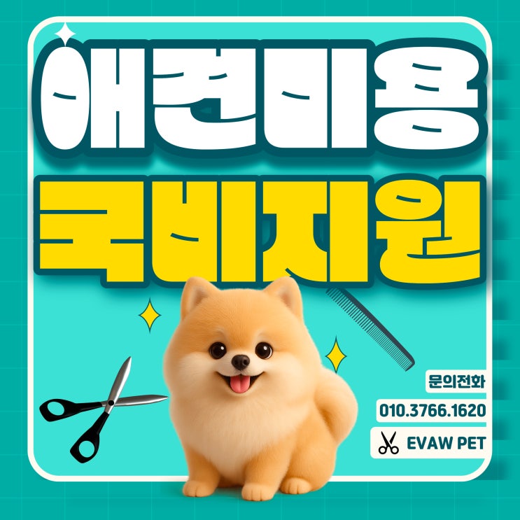  애견미용사자격증 국비지원 종류 및 취득 방법과 활용도