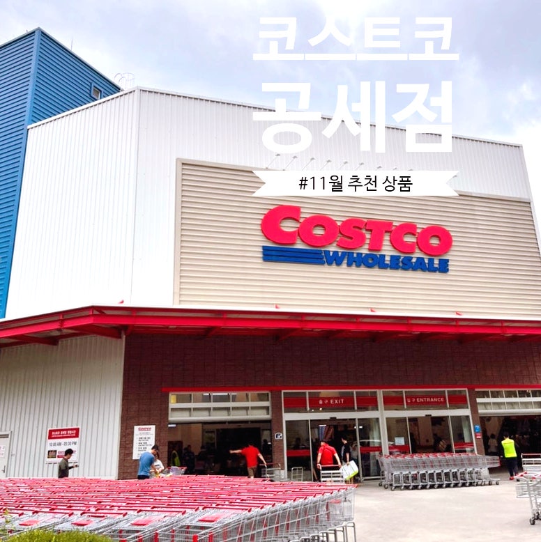 11월 코스트코와 이마트 쓱데이 추천 상품 : 와인 할인정보와 올리브유까지 필수 쇼핑 리스트