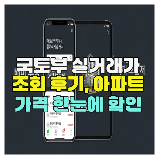  국토부 실거래가 조회 후기, 아파트 가격 한눈에 확인