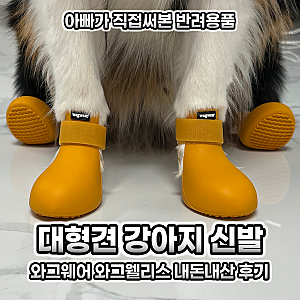 와그웨어 대형견 강아지 신발 추천 여름 겨울 산책 발바닥 까짐 예방