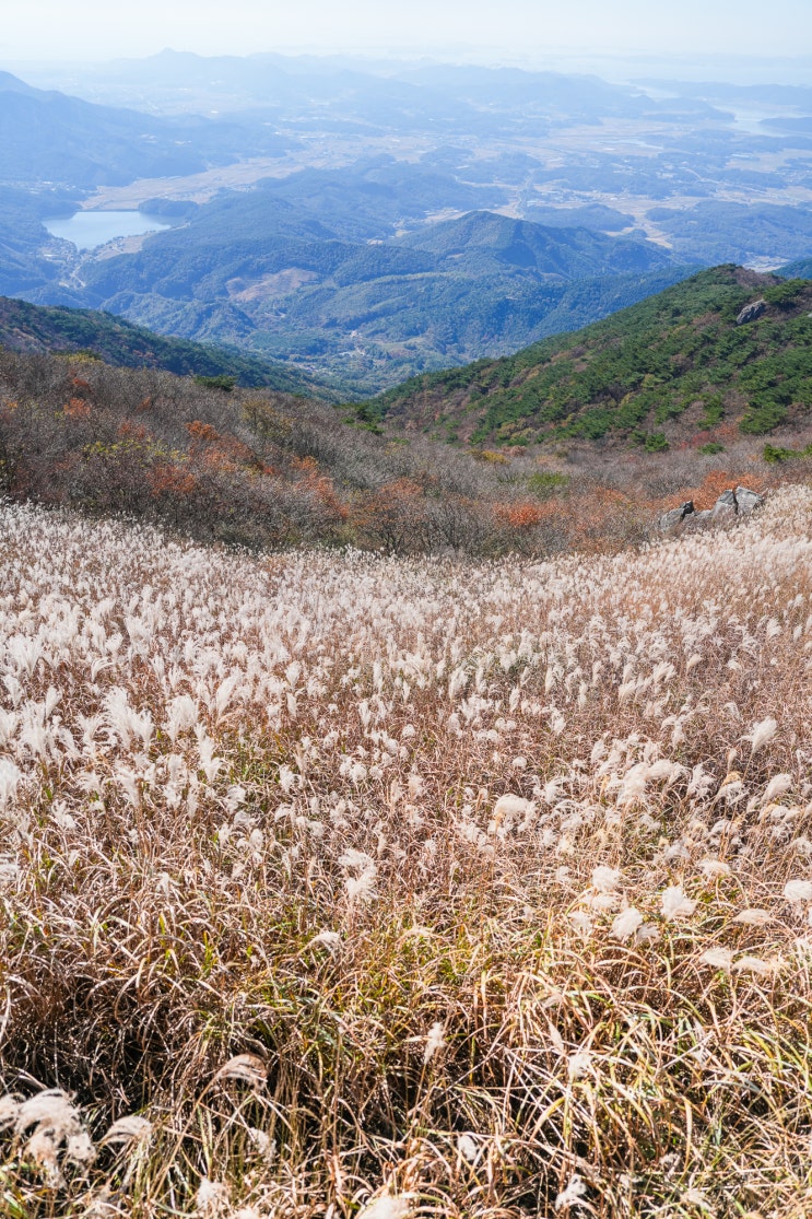  충남 가볼만한곳 보령 오서산 성연주차장 등산코스 억새 가을여행