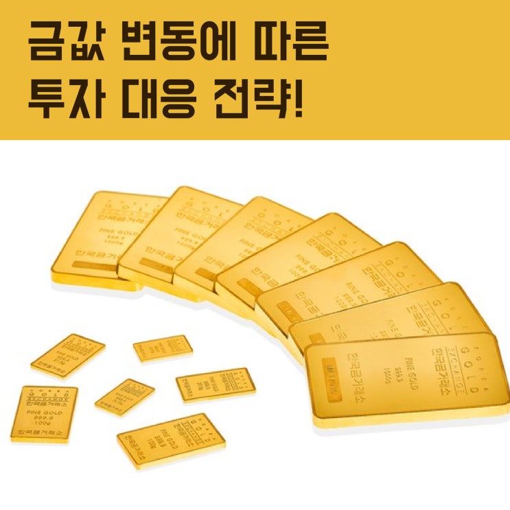  최근 금값 변동 흐름과 투자 대응 전략(feat.김치프리미엄)