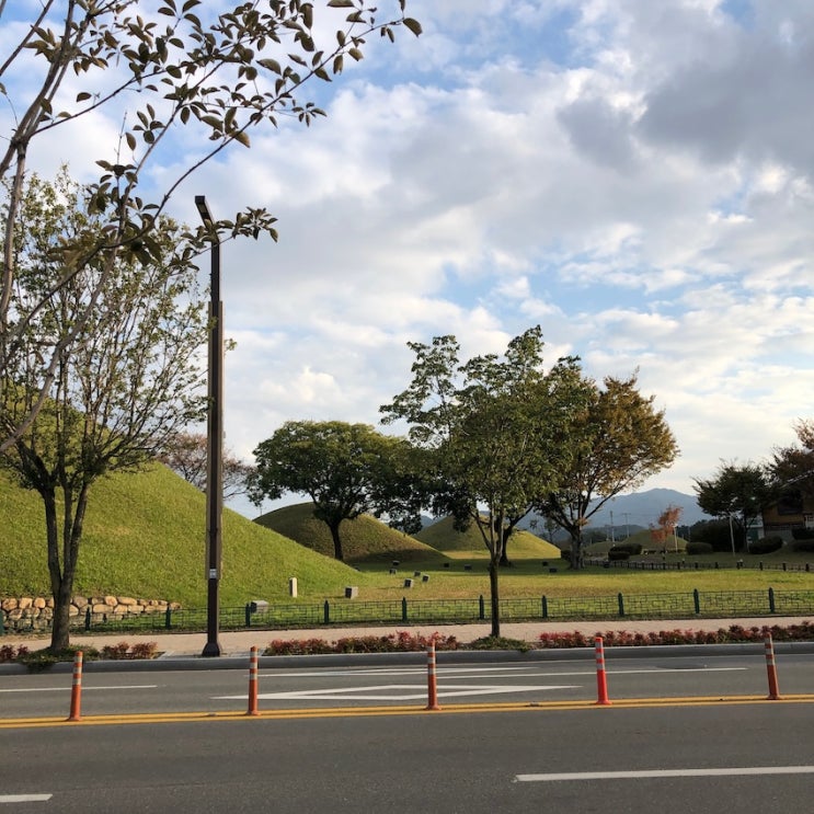   경주 여행기 [ 챕터 2] – 황리단길, 천년 고도 속의 젊은 거리