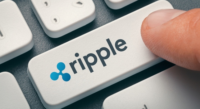  리플(XRP), IPO 계획 없다? '공식 발표'에 숨겨진 월스트리트의 문법