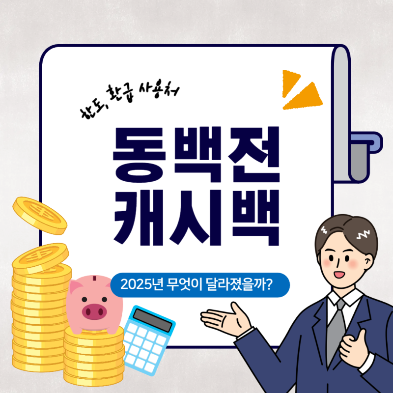 동백전 캐시백 한도 50만 원, 환급 유효기간 사용처 (동백패스)