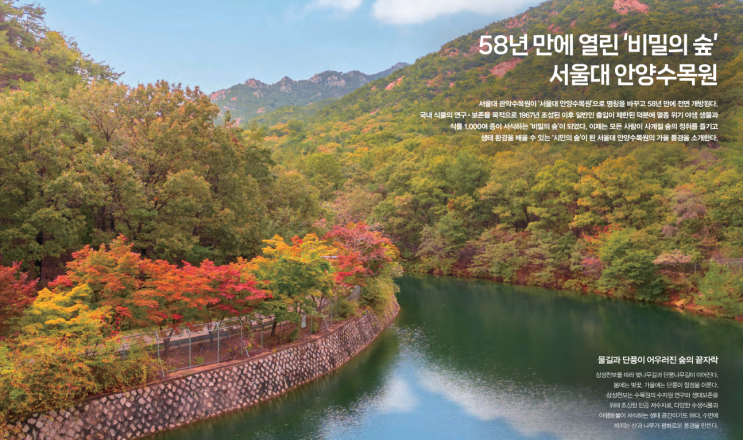  58년 만의 귀환! 서울대 안양수목원 방문 전 필독 가이드 (주차, 꿀팁 총정리)