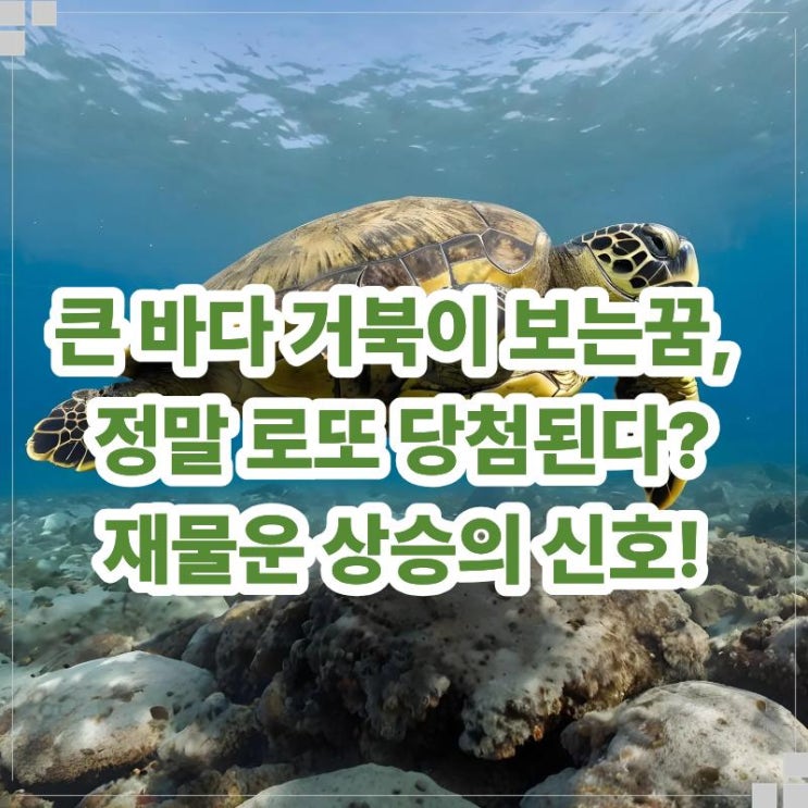  큰 바다 거북이 보는꿈, 정말 로또 당첨된다고?? 재물운이 상승하는 신호!