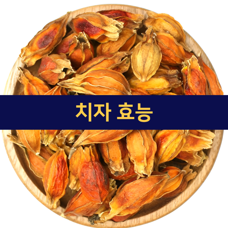  치자효능 | 치자나무 | 치자열매 | 쿠치나시 | 즈즈 | 효능