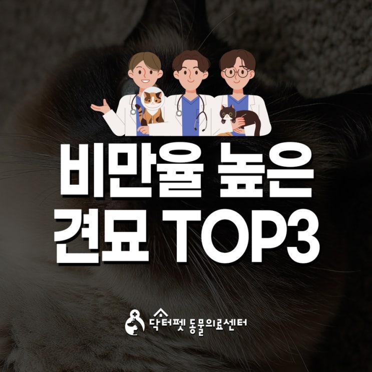  비만율 높은 강아지 고양이 TOP3