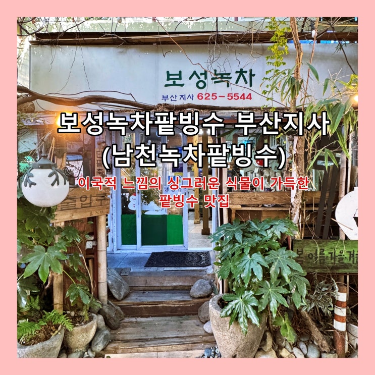  [부산] 이국적 느낌의  싱그러운 식물이 가득한 팥빙수 맛집 '보성녹차팥빙수 부산지사(남천녹차팥빙수)'