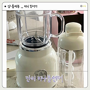 단미 미니 블렌더 : 소량믹서기 추천