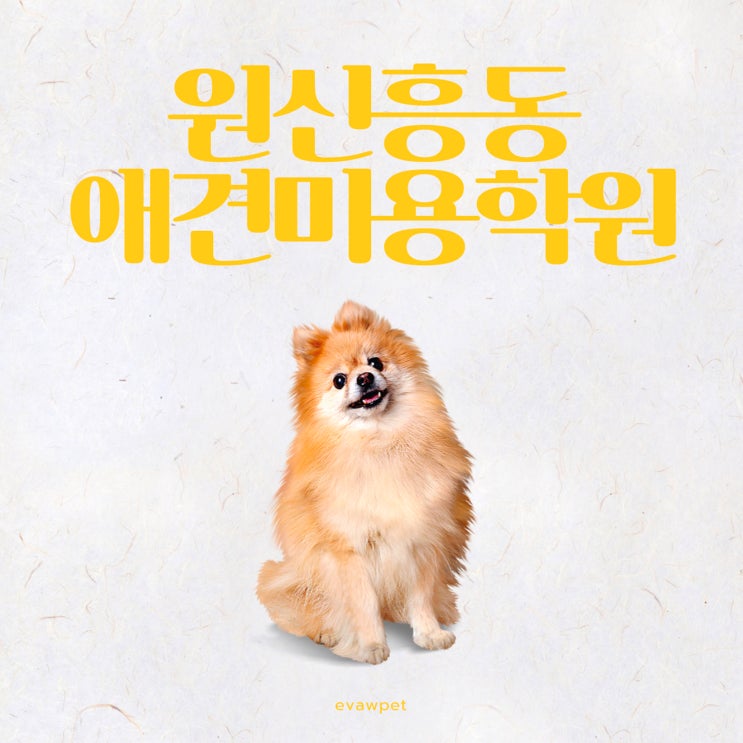  원신흥동애견미용학원, 5개월만에 애견미용자격증2급 취득한 후기