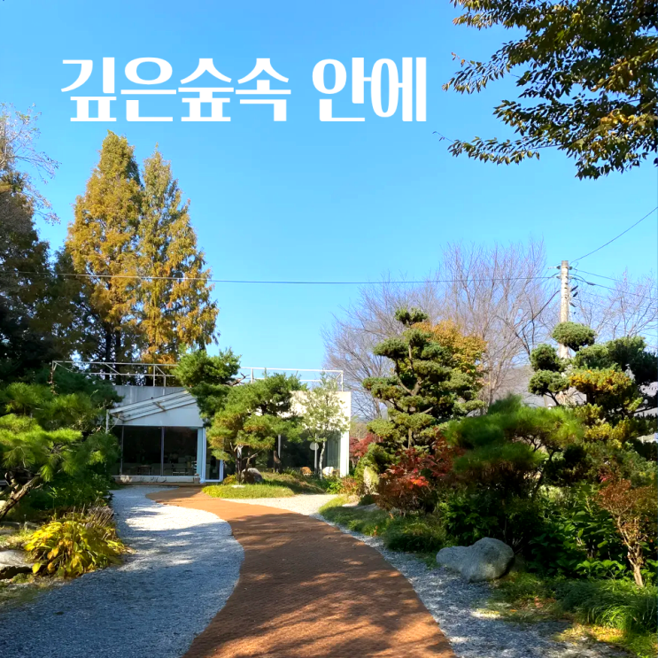  천안 숲카페 독립기념관 근처 카페목천