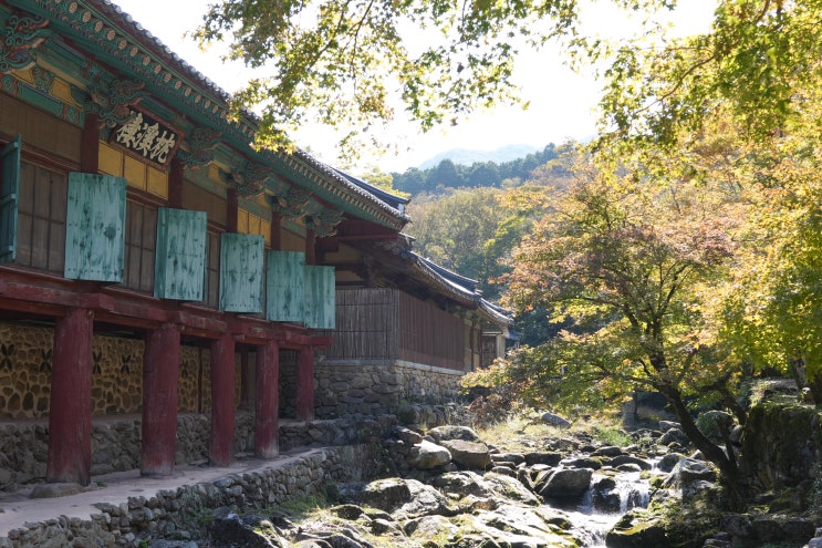  순천 송광사 단풍 전남 혼자 여행 순천 조계산 등산코스