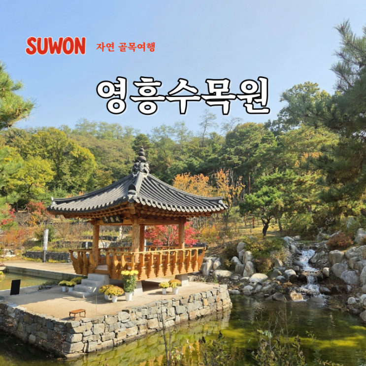  경기도 가을 단풍 명소 추천 수원 여행 코스 영흥수목원