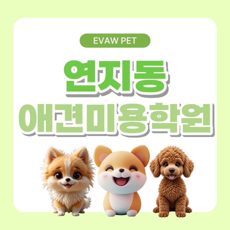  연지동애견미용학원 국비지원과 특별지원 차이 한눈에! 실무형 자격증 취득 가이드