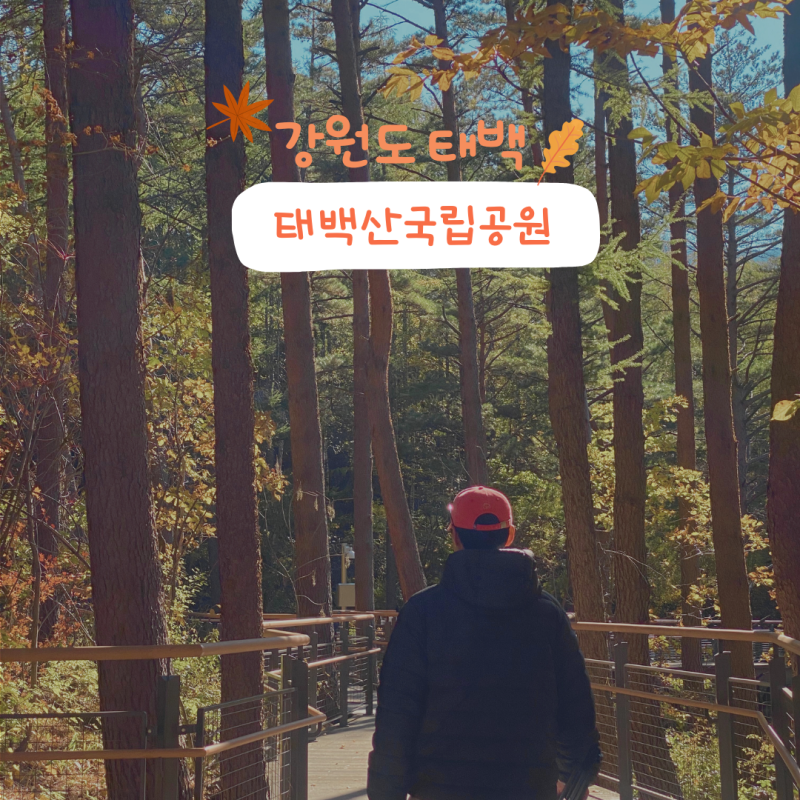 [태백] 태백여행 아이와 태백가볼만한곳 태백산하늘전망대 주차장 및 입장료 가을겨울여행....