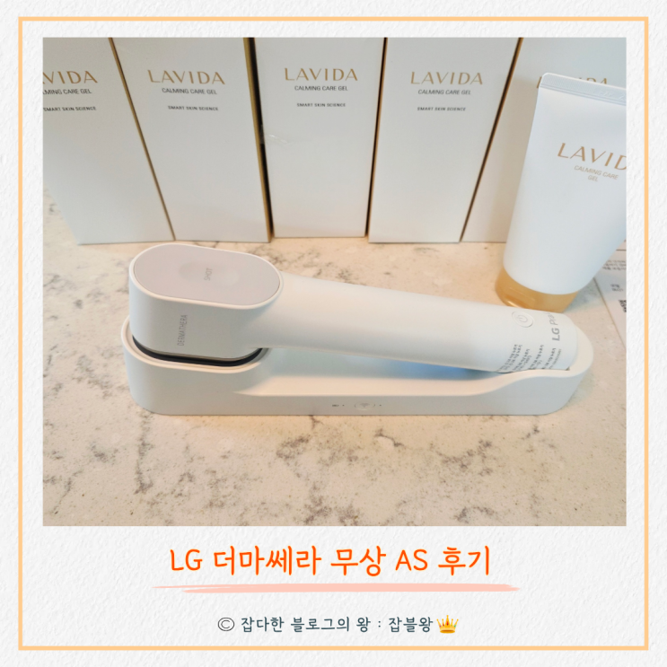  더마쎄라 AS 후기 : 샷 카트리지 무상 AS 팁
