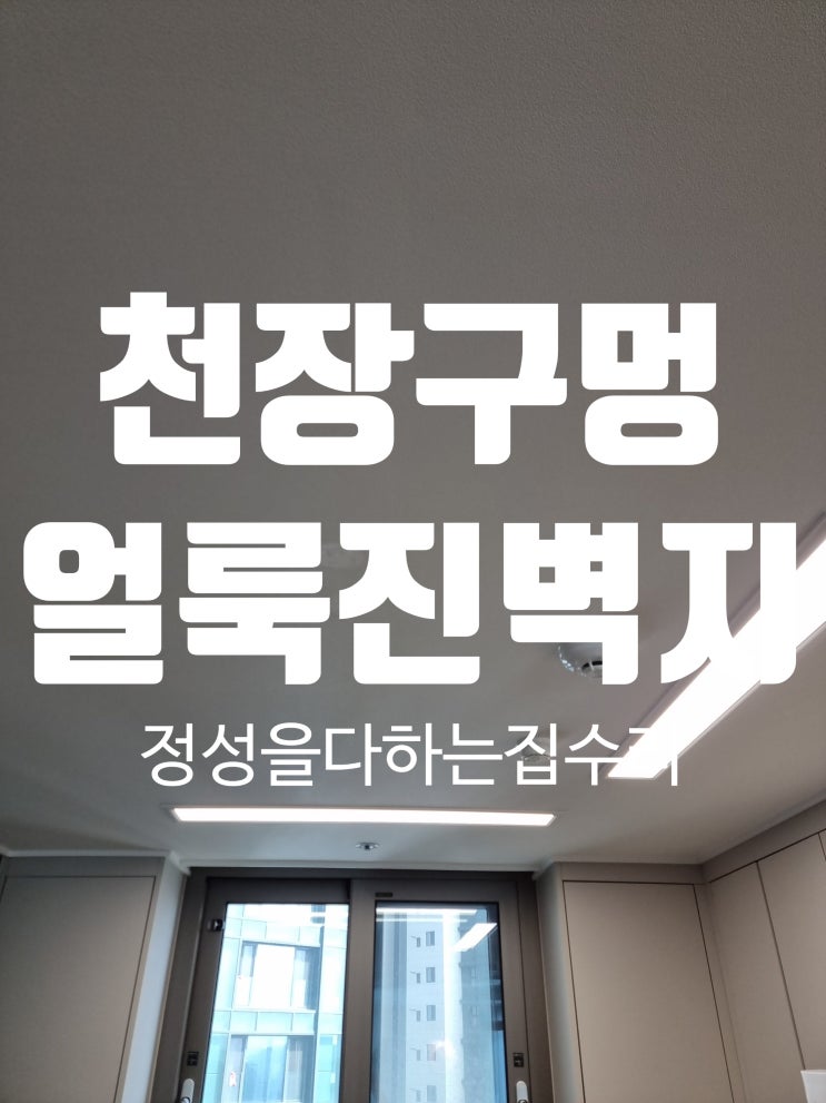  퍼티로 얼룩진 벽지, 전문가 의뢰로 천장 보수 해결