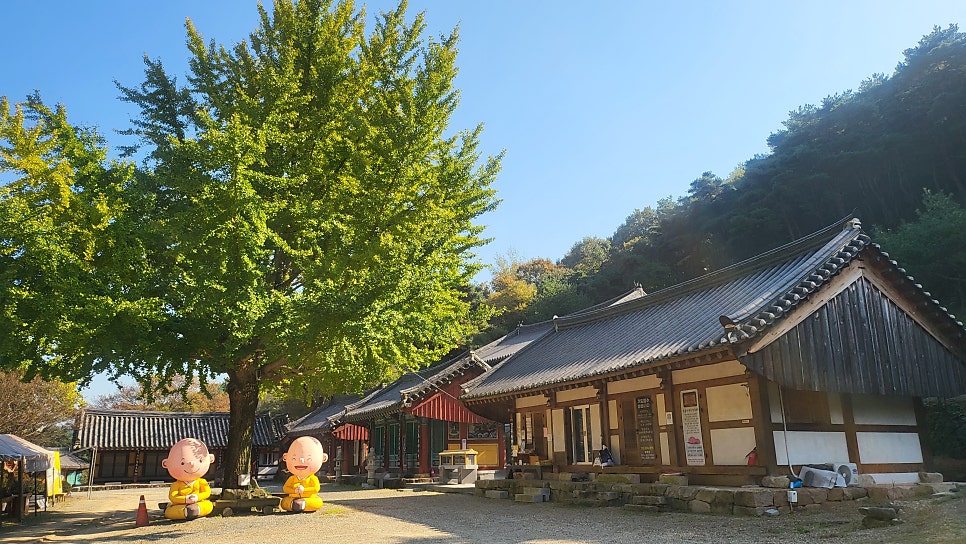 대동지