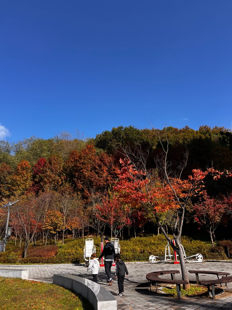  지금은 단풍 시기!우리만 아는 단풍명소, 개웅산 단풍나들이