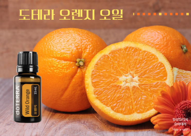  한방울의 마법 행복오일 도테라 오렌지오일 이렇게 사용하세요