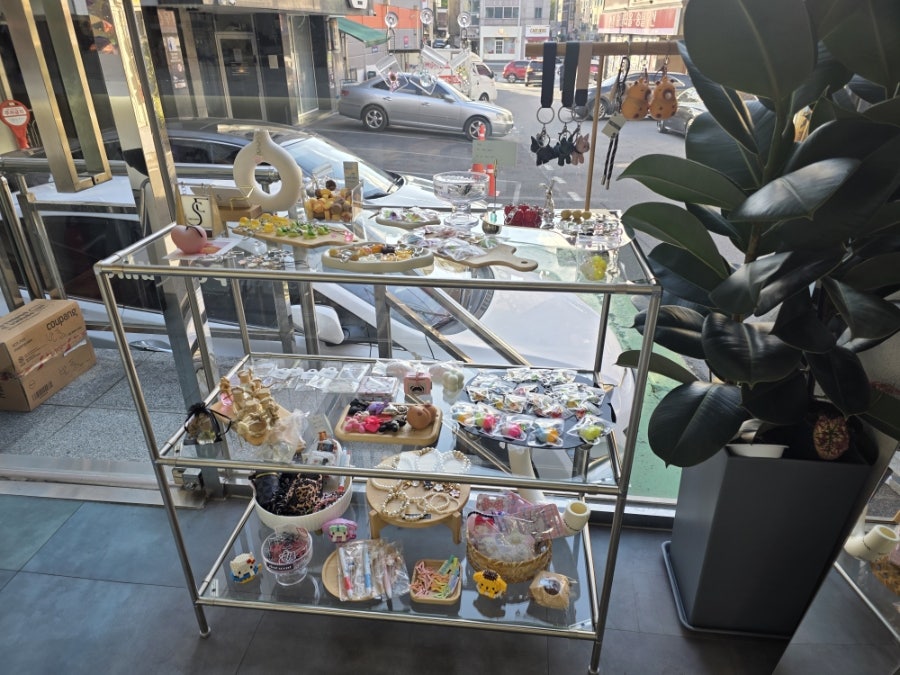 시향 사진 6