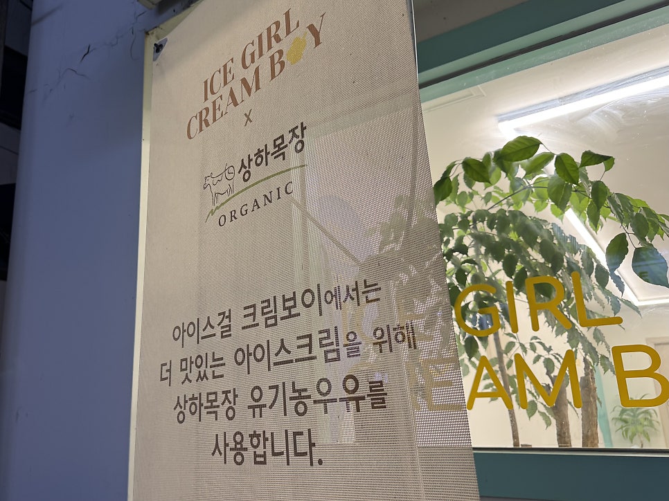 아이스걸크림보이 사진 4