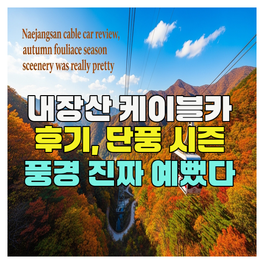 내장산 케이블카 후기, 단풍 시즌 풍경 진짜 예뻤다