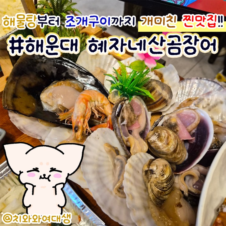  부산 해운대 맛집 조개구이 혜자네 산곰장어 해물탕 후기