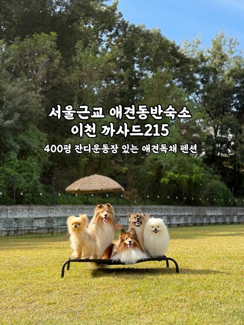 사진 12