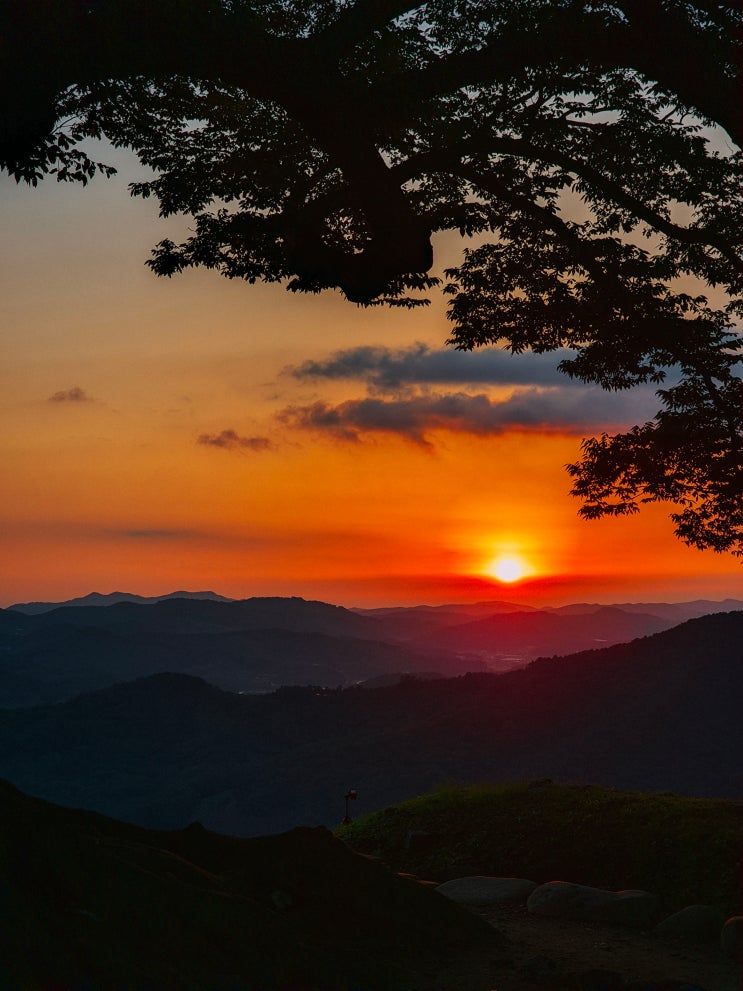  부여 일몰 명소, 성흥산성과 성흥산 사랑나무(주차장, 가는법, 가림성 느티나무)