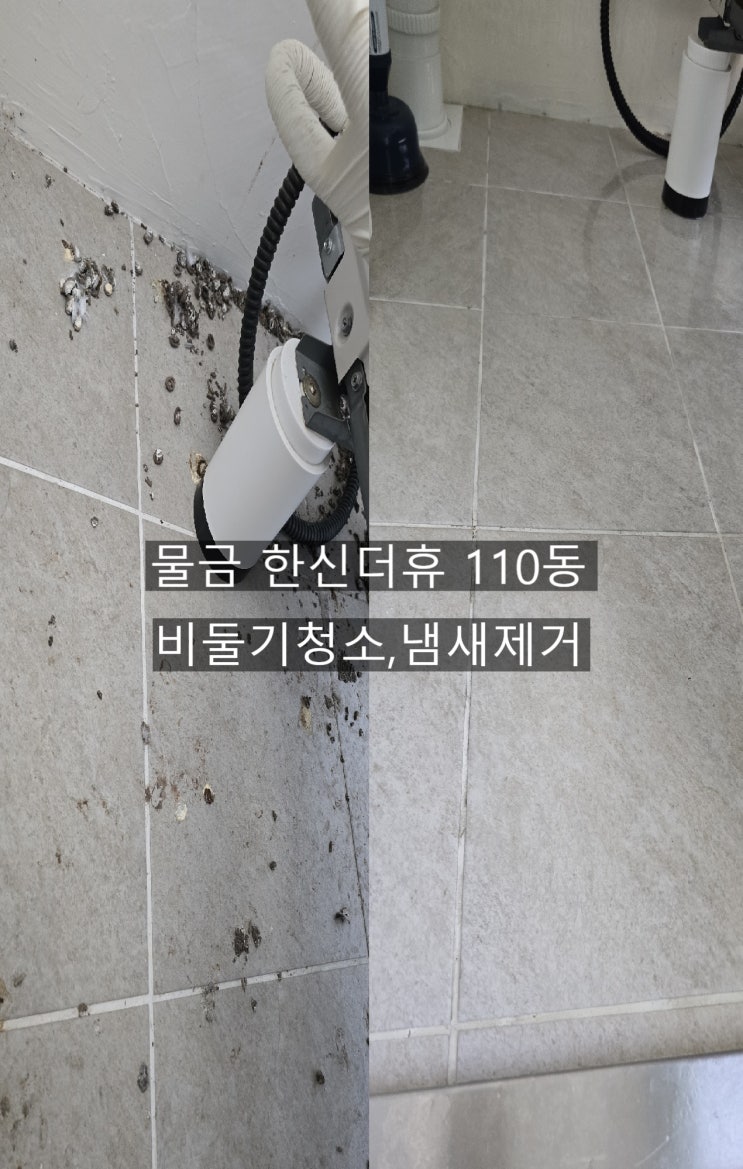  양산물금 한신더휴APT110동 비둘기청소 베란다전체 퍼진 냄새박멸~양산해피홈케어