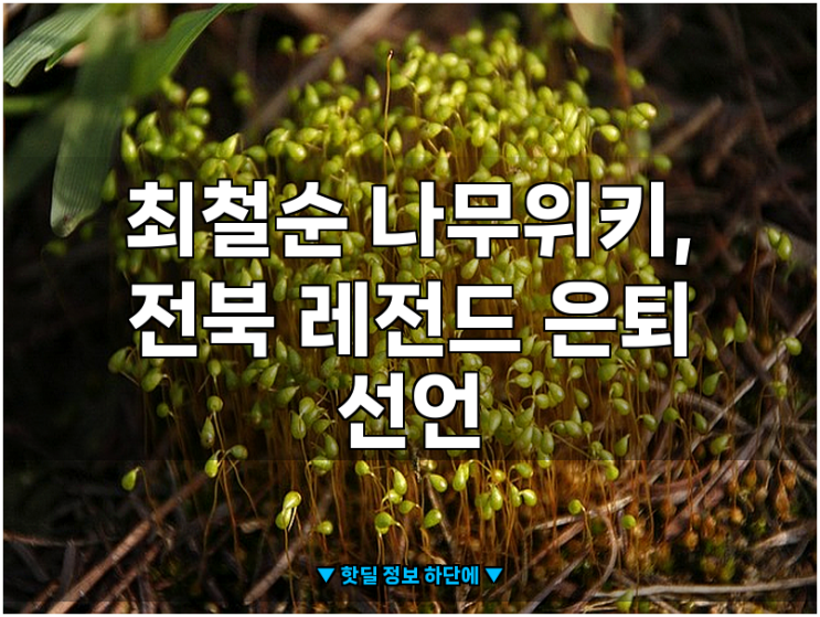 <b>최철순</b> 나무위키, 전북 레전드 <b>은퇴</b> 선언