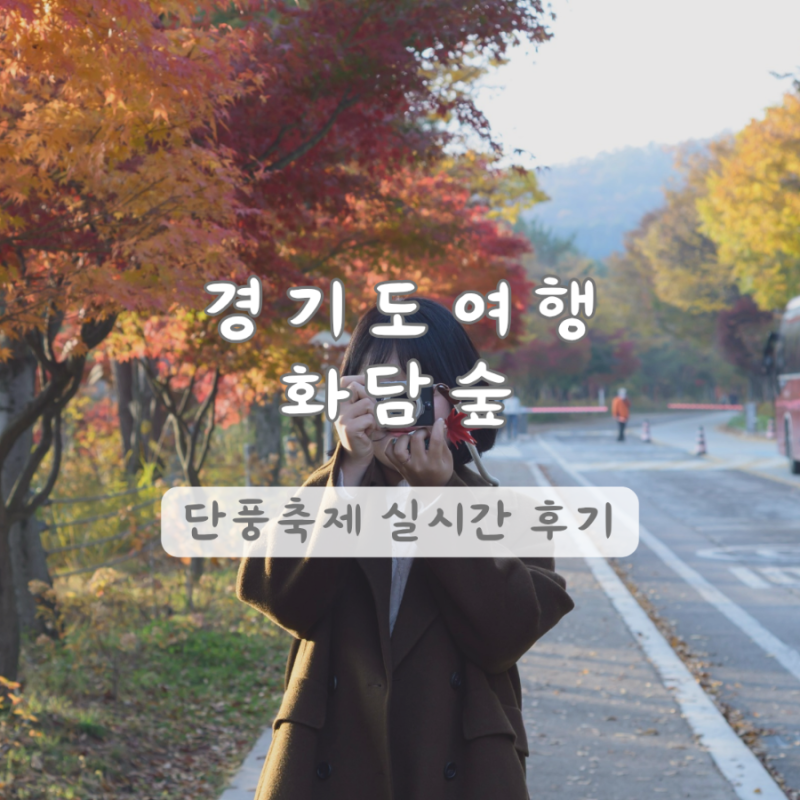 경기도 여행 광주 | 2025 곤지암 화담숲 단풍축제 정보 주차장 꿀팁 가을 꽃축제 실시간 단풍 ....