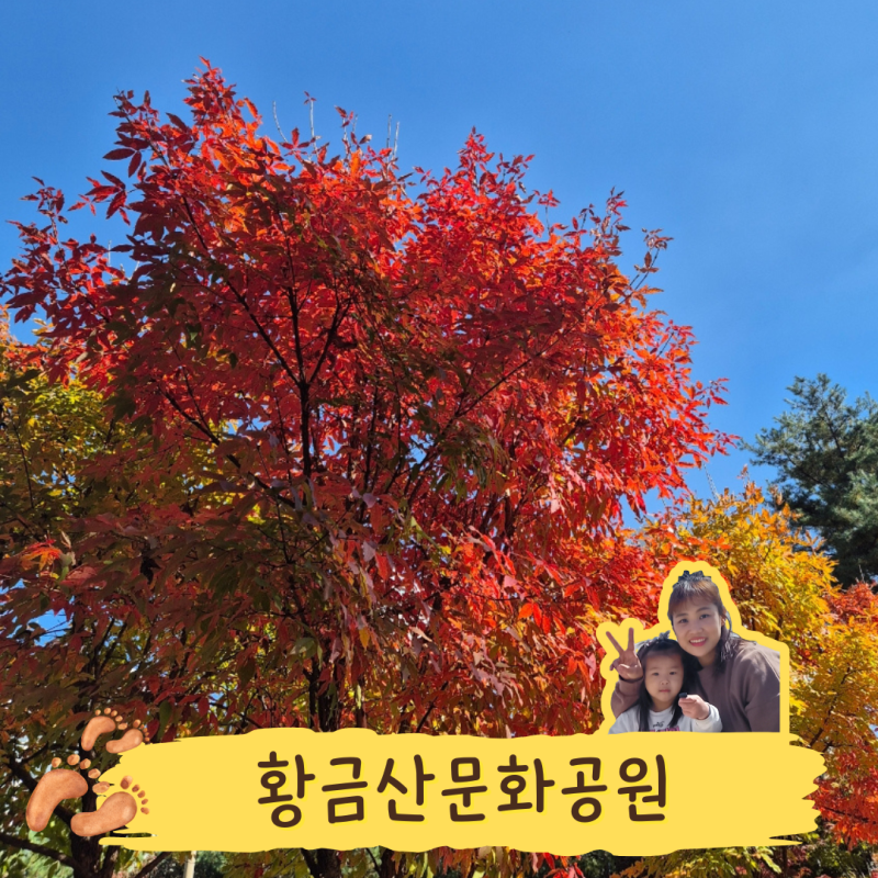 남양주 황금산문화공원 단풍보고 숲놀이터까지 총정리