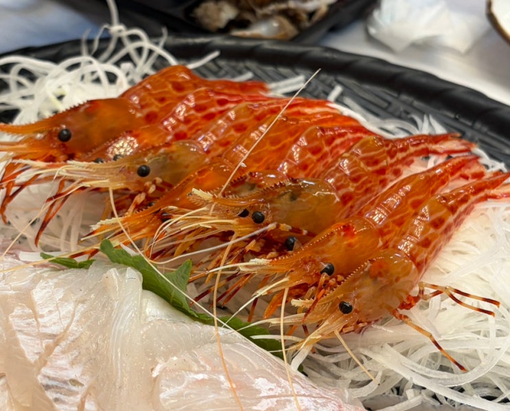  [울릉도맛집3] 독도새우 맛집 울릉가 예약필수 (튀김, 새게탕)_ 내돈내산