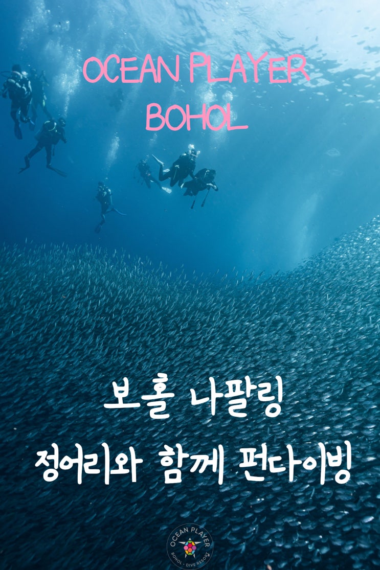  [보홀 스쿠버다이빙] 보홀 나팔링 모모비치 펀다이빙 - with 보홀오션플레이어 kai