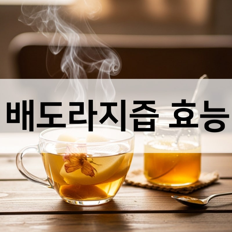 배도라지즙 배도라지청 효능 5가지, 환절기 필수템