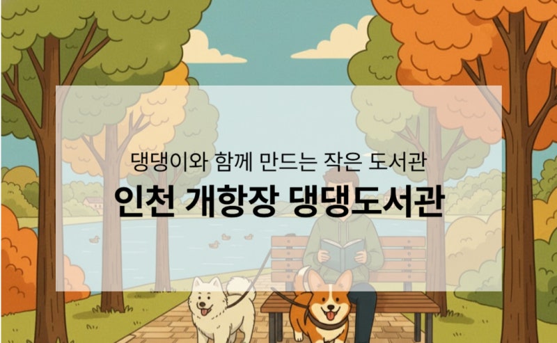 사진 5