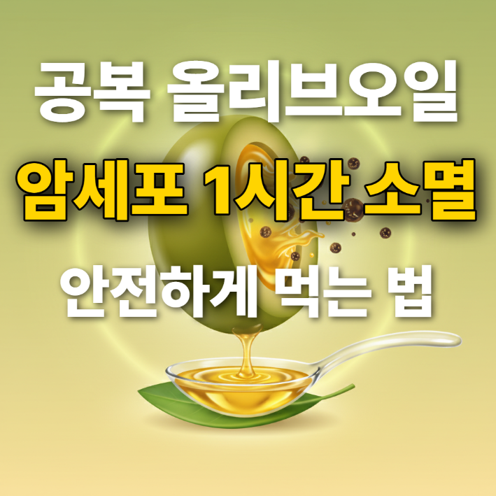 공복 올리브오일 효능, 부작용 없이 안전하게 즐기는 7가지 원칙